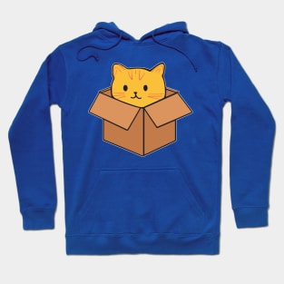 Cat sitting inside cardboard box - 02 Hoodie